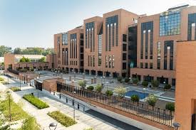 Università IULM