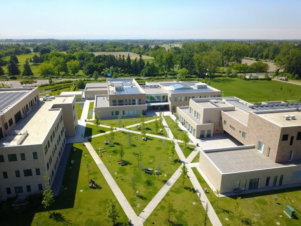 humanitas university