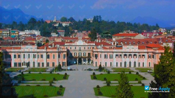 university of insubria