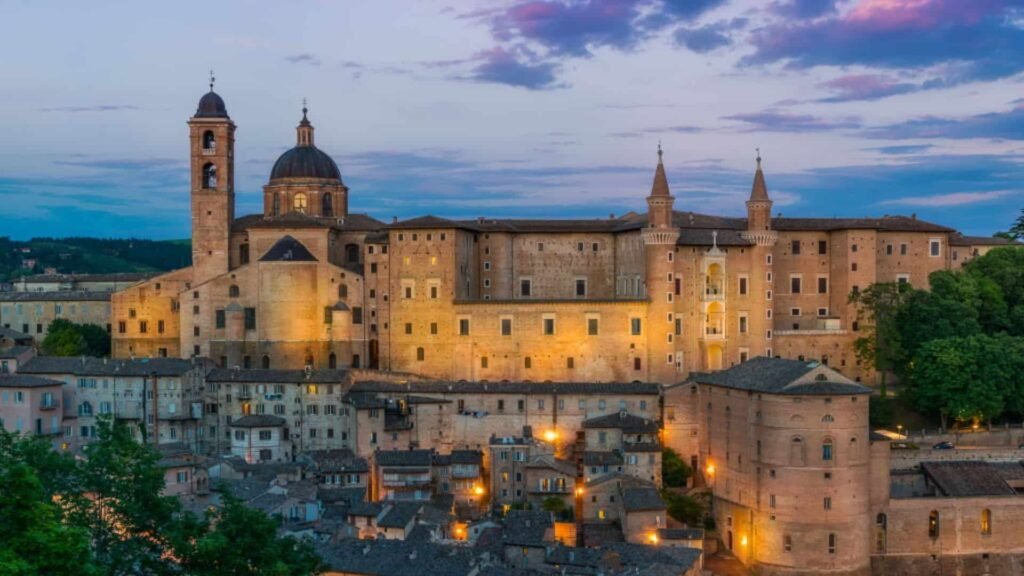 university of urbino